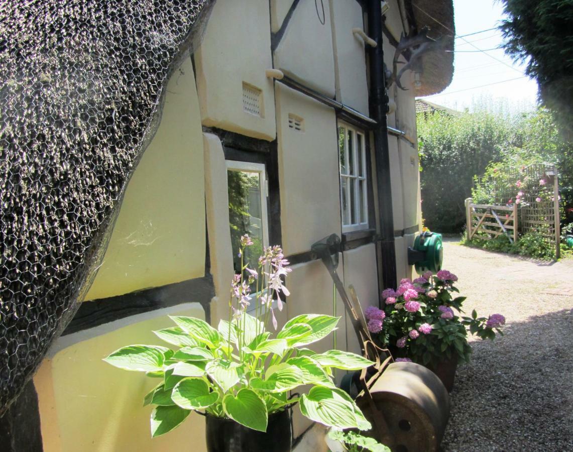 The Stable Villa Eastleigh Ngoại thất bức ảnh